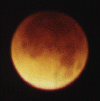 eclip14april_4_moon_completely_eclipsed.gif (35089 bytes)